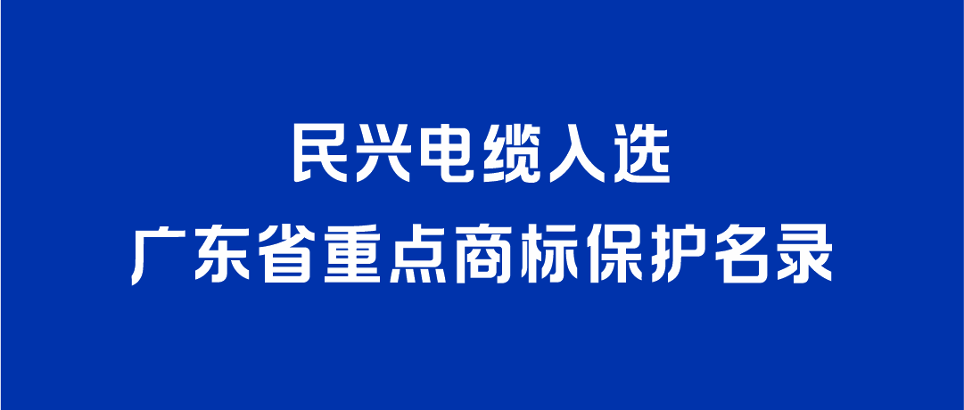 喜讯！DB真人旗舰入选广东省重点商标保护名录